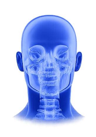 Skull Orthopaedics