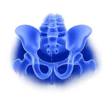 Pelvic Plating Systems