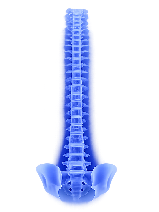 Spine Implant Systems