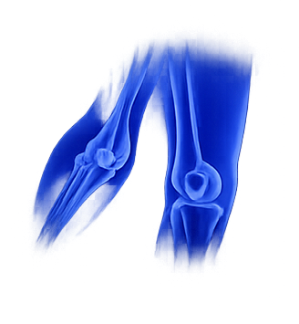 Knee Sports Medicine