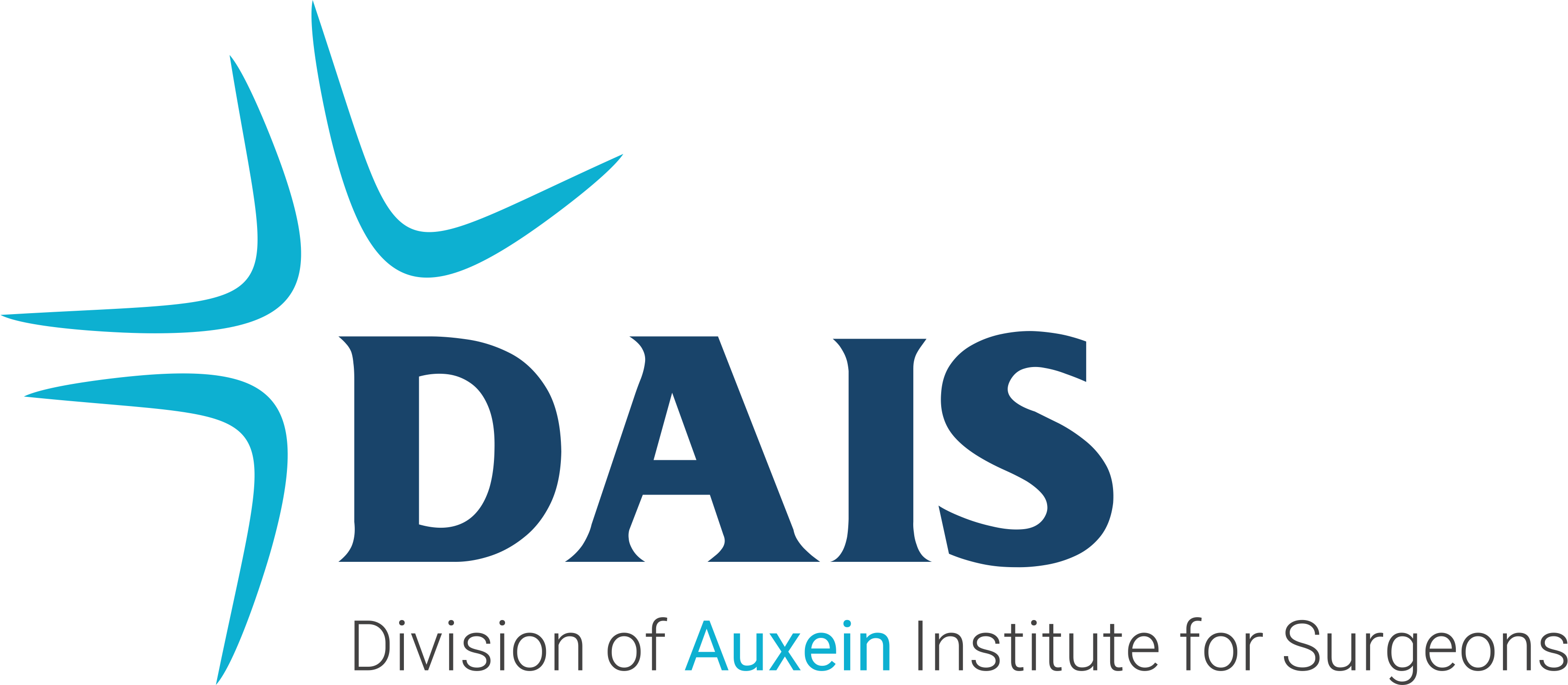 DAIS Academy