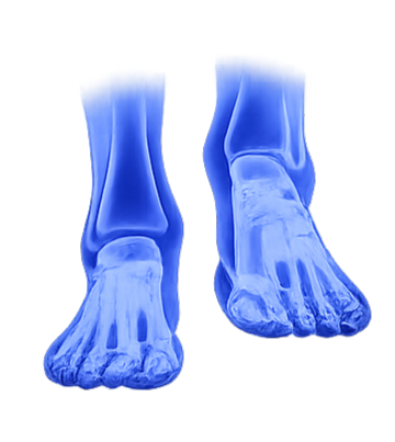 Foot & Ankle Reconstruction